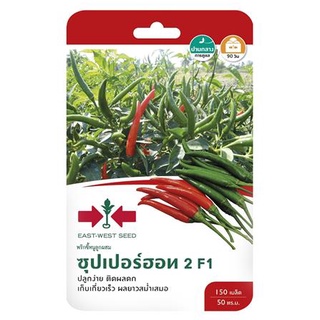 [พร้อมส่ง] HomeDoDee เมล็ดพันธุ์พริกขี้หนู F1 ซุปเปอร์ฮอท 2 เมล็ด เมล็ดพันธุ์ เมล็ดพันธุ์พืช