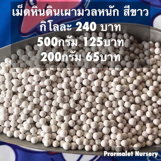 เม็ดหินดินเผาญี่ปุ่น มวลหนัก สีขาว ขนาด 3มม. กิโลละ 240บาท