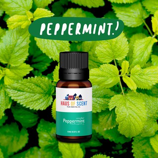 น้ำมันหอมระเหย เปปเปอร์มินต์  10 ml. (Pure Peppermint Essential Oil) -  น้ำมันอโรม่า น้ำมันหอมใส่เครื่องพ่นอโรม่า