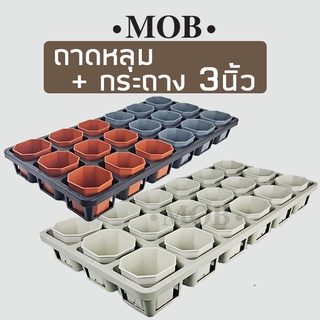MOB เซ็ทถาดหลุม 18หลุม พร้อมกระถาง 3นิ้ว 18ใบ กระถางแปดเหลี่ยม ถาดเพาะ ถาดแคคตัส กระถาง แคคตัส กระบองเพชร