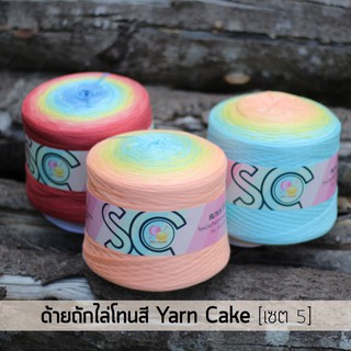 ด้ายถักไล่โทนสี กรอเรียงเส้น 5 เส้น หนัก 400g เซต 5 (YC537-YC545)