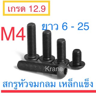 สกรูหัวจมกลม ดำ M4 ยาว 6 - 25