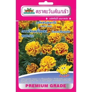 เมล็ดพันธ์ุ ดาวเรืองฝรั่งเศส MAR-502 บรรจุ 0.16 กรัม/ซอง ตราตะวันต้นกล้า