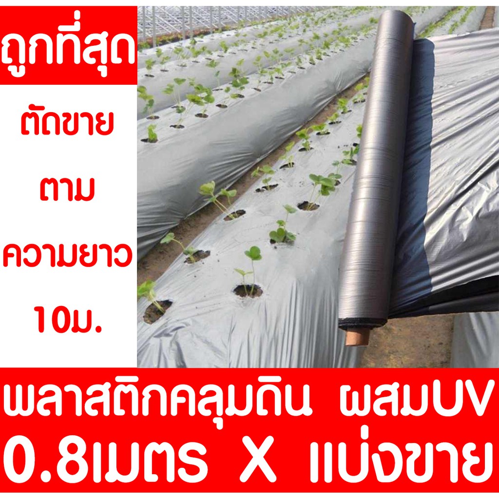 พลาสติกคลุมดิน 0.8เมตรx10เมตร (ไม่เจาะรู) พลาสติกคลุมแปลง พลาสติกดำ/เงิน พลาสติกกันวัชพืช คลุมดิน แปลงผัก หญ้า
