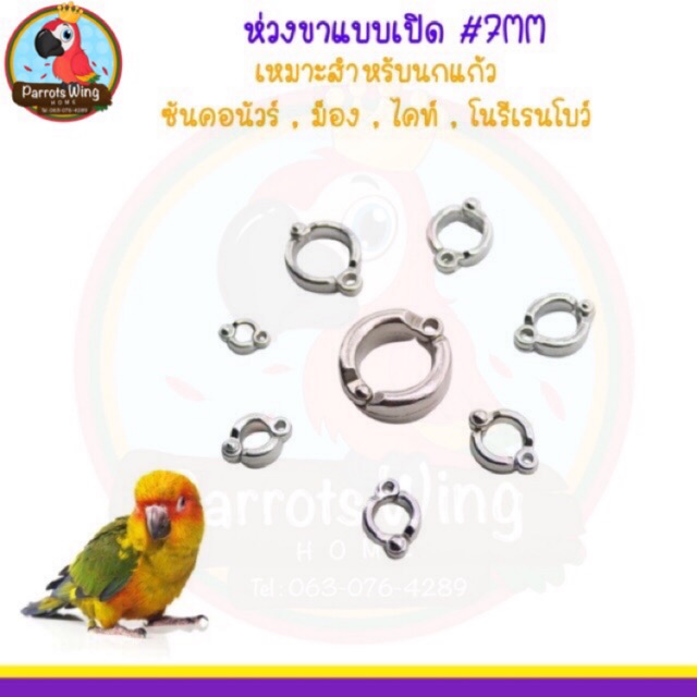 My Image 27