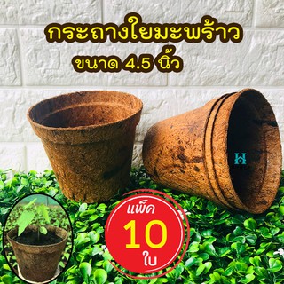 (เซ็ต 10 ใบ )กระถางใยมะพร้าว กระถางต้นไม้ 4.5นิ้ว กระถางเพาะชํา อุ้มน้ำ ระบายอากาศได้ดี รากเดินดี ย่อยสลายได้ตามธรรมชาติ