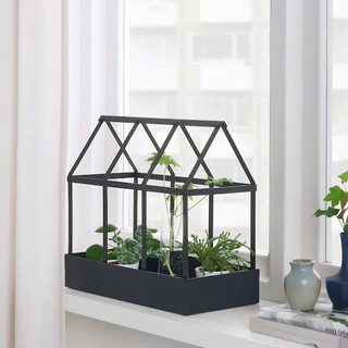 เซียนับสกวล ที่วางกระถางต้นไม้ กระถางต้นไม้ ใน/นอกอาคาร 34 ซม. SENAPSKÅL Decoration greenhouse in/outdoor black34 cm