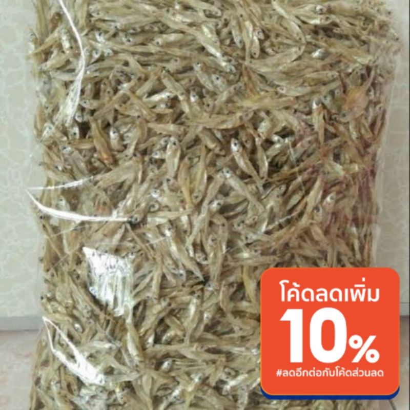 รูปภาพ 4