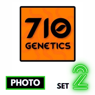 🔥Preorder🔥เมล็ดค่าย🌱710 Genetics Seeds🌱Photo⭐️ส่งฟรี🚨มีปลายทาง ส่งตรงจากนอกแท้100%⭐️ยกแพค/แยกเมล็ด⭐️อย่าเสี่ยงกับเมล็ดไม่มีที่มา#2