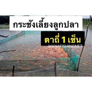 #กระชังเลี้ยงปลา ลูกปลา กุ้ง #กระชังอวนตาถี่ 1 เซ็น 🅰️ขนาด 3x6 สูง 1.8 เมตร