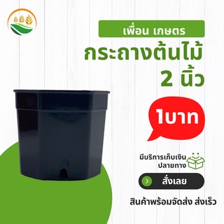 กระถางต้นไม้มินิมอล กระถาง 8 เหลี่ยม ขนาด 2 นิ้ว สีดำ
