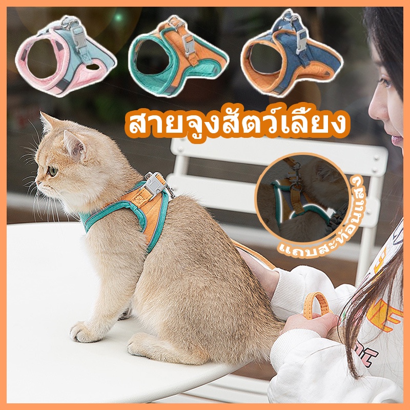BHQ COD สายจูงสัตว์เลี้ยง ใหม่! เชือกจูงแมว Colorful Reflective สายจูงแมว สายจูงหมา ปลอกคอแมว สายจูง