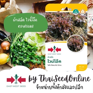 GGEW เมล็ดพันธุ์ซฟ ผักสลัด ไวน์โอ๊ค 40เมล็ด ตราศรแดง Lettuce