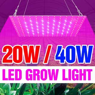 โคมไฟ LED 20W ฟูลสเปกตรัม 40W 110V ไฮโดรโปนิก 220V สําหรับปลูกพืชในร่ม