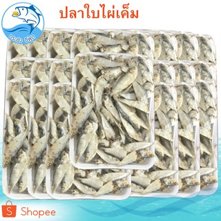 ปลาใบไผ่เค็ม หรือ ลูกปลากุแล ปลากุแล ปลากูแล อาหารทะเล อาหารทะเลแห้ง อาหารทะเลแปรรูป อาหารทะเลแห้งตากแห้ง ของแห้ง ของฝาก