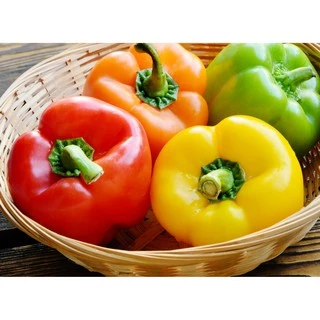 เมล็ดพริกหวาน คละสี/ส้ม/ม่วง/เหลือง/แดง 50-140 เมล็ด Bell Pepper Color เมล็ดนำเข้า สายพันธุ์ OP