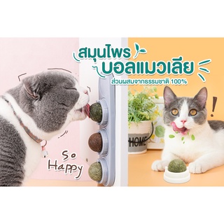 ❤️Catnip ออร์แกนิค ของเล่นแมว บอลcatnip แบบเลีย❤️ ❤️ขนมแมว ขนมเลีย อาหารแมว ของเล่นแมว ขนมแมวเลีย❤️