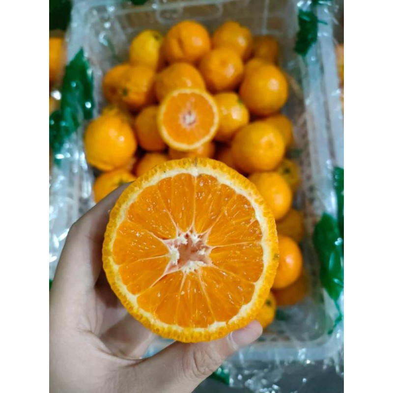 ส้มจุกนำเข้าจากจีน🍊เปรี้ยวอมหวานอร่อยๆ🍊นน.6.5กก.ราคา399บาท🌿