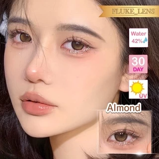 คอนแทคเลนส์ (ขนาดกลาง) 🎉 April Rain almond brown / black Luxzylens เลนส์กรองแสง Dia14.5 ของแท้รับจากบริษัทโดยตรง