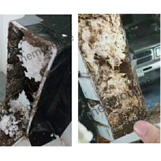 ชุดเหยื่อกำจัดปลวก Termatrix termite bait 2 ถุง Active plus 2 ถุง อาหารปลวก กำจัดปลวกตายยกรัง