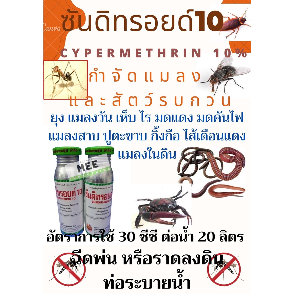 โฟลิดอน กำจัดมด มดแดง มดคันไฟ เห็บ ไร แมลงสาบ ไส้เดือน หนอน ปู กิ้งกือ ตะขาบ ยาน๊อค ถูกตัวตาย ซันดิทรอยด์10% ขนาด100cc