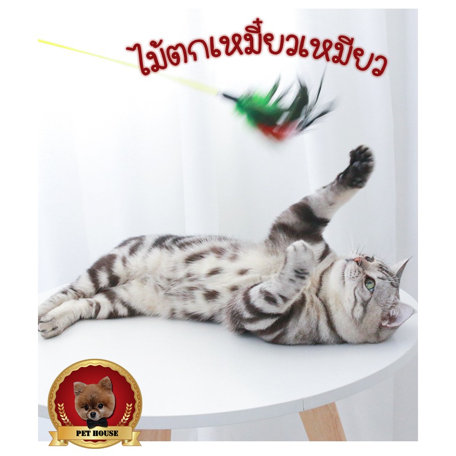 ไม้ตกแมว ไม้ล่อแมว ขนนก แมวชอบมากกกกกก
