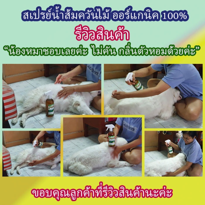 ซื้อ1แถม1 น้ำส้มควันไม้ ออร์แกนนิค100% ดับกลิ่นฉี่ รูปที่ 2
