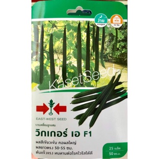 เมล็ดพันธุ์ บวบเหลี่ยม วิกเกอร์เอ ศรแดง ผักซอง