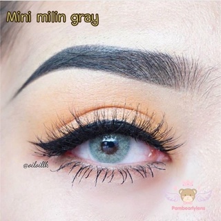 Mini Milin gray คอนแทคเลนส์