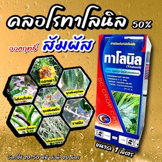 ทาโลนิล1 ลิตร 🔴 คลอโรทานิล50 %สารป้องกันกำจัดโรคพืชชนิดสัมผัส ป้องกันกำจัดโรคราน้ำค้าง,ราเข้าขั้ว,ราดำ,ใบปื้นเหลือง