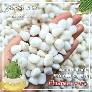 🌵หินนำเข้า หินนำเข้าตกแต่งสวน หินโรยหน้ากระถาง หินจัดสวนถาด หินใส่ตู้ปลา หินปูพื้นจัดสวน🌴
