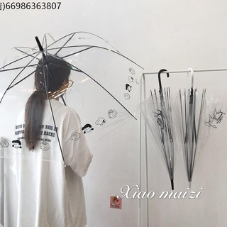 Transparent umbrella fresh, transparent long handle automatic elementary school student umbrella
