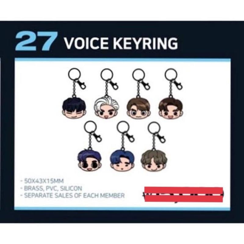 [ พร้อมส่ง​ ]​ GOT7​ -​ KEEP SPINNING WORLD TOUR​ GOTOON VOICE KEYRING