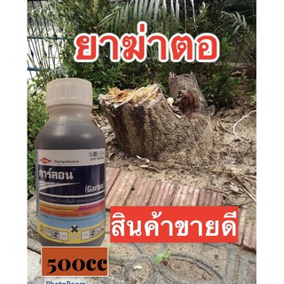 การฺ์ลอน สารกำจัดตอไม้ ทำลายตอไม้ ฆ่าตอไม้ ป้ายตอไม้ กำจัดตอไม้ 500ml