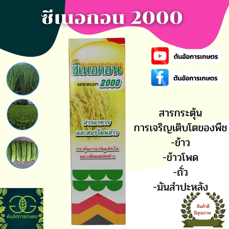 ซีเนอกอน 2000 -สารกระตุ้นการเจริญเติบโตของพืช-ขนาดบรรจุ 1