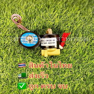 เซลินอยวาวล์2W025-8(2หุนBSPF)220VAC/24VDC