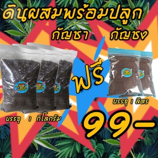 ดินผสมพร้อมปลูก กัญชา 1 กิโลกรัม แถมฟรี  ดินผสมเพาะเมล็ดต้นกล้า