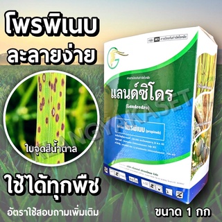 แลนด์ซิโดร 1 กก 💥 ( โพรพิเนบ 70% )  แอนทราโคล ป้องกันโรคพืช ใบจุด ใบไหม้  ราดำ โรครากเน่า โคนเน่า