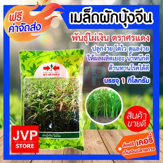 ส่งฟรี เมล็ดพันธุ์ผักบุ้งจีน พันธุ์ไผ่เงิน ตราศรแดง บรรจุ 1 กิโลกรัม ปลูกง่าย โตไว ให้ผลผลิตเยอะ ต้านทานโรคได้ดี