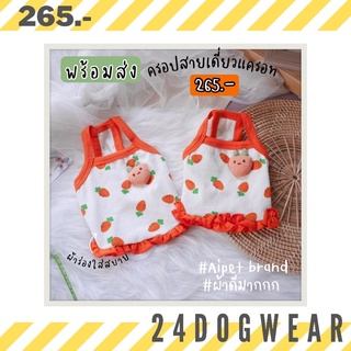 24dogwear. เสื้อหมาสายเดี่ยว เสื้อสุนัข เสื้อครอปสุนัข เสื้อสัตว์เลี้ยง