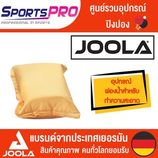 อุปกรณ์บำรุงรักษา Joola Cleaner Spong