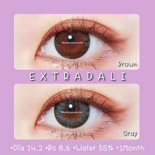 🌈Extradali-Brown•Gray☆โตแบ๊ว☆สายตา 00-1000☆รายเดือน