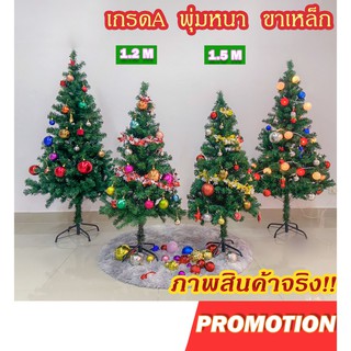 ต้นคริสต์มาส เกรด A พุ่มหนา ขาเหล็ก  1.2 / 1.5 ม. ((Christmas tree))