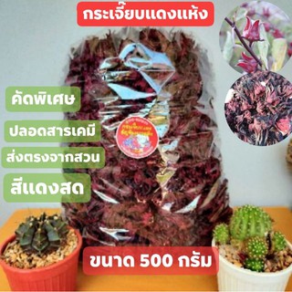 กระเจี๊ยบแดงแห้ง 500 กรัม ผลผลิตปี66 ปลอดสารเคมี ส่งตรงจากเกษตรกร สำหรับต้มน้ำกระเจี๊ยบ/ชงชา