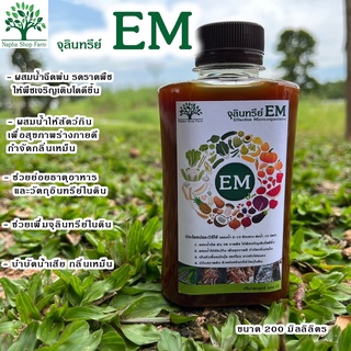 หัวเชื้อจุลินทรีย์ EM คุณภาพสูง ขนาด 200 มิลลิลิตร