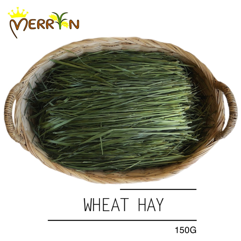 ข้าวสาลีออแกนิค - Wheat hay by Merryn Exotic (150G)