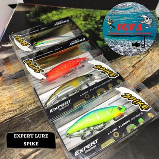 Expert เหยื่อตกปลา 39C Spike lure SP60