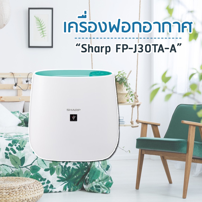 รูปภาพ 4