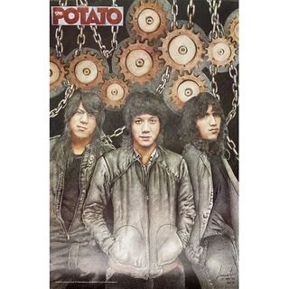 โปสเตอร์วงดนตรี ติดผนัง Potato