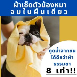 เช็ดตัวน้องหมา ไม่ขึ้นรา คุณหมอแนะนำ Pet Dry ผ้าเช็ดตัวสัตว์เลี้ยงผืนเดียวอยู่ ซับน้ำดีมาก ผ้าเช็ดตัวหมา ผ้าเช็ดตัวแมว